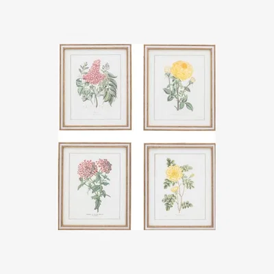 Dunelm Cedar & Sage Set of 4 Floral Quartet Framed Prints