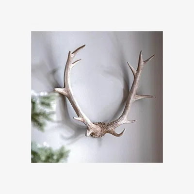 Dunelm Cedar & Sage Bjorn Antler Wall Art