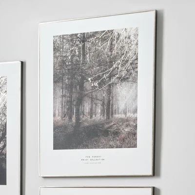 Dunelm Mono Forest Trail Canvas Print White/Black
