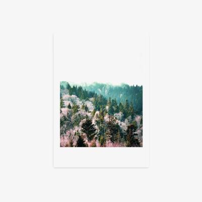 Dunelm East End Prints New Day Print White/Green