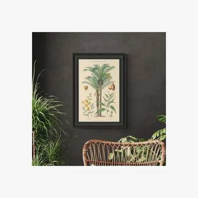 Dunelm Fruit Trees II Framed Print
