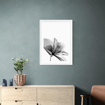 Dunelm East End Prints Amaryllis Print Black