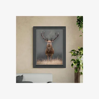Dunelm Lord of the Manor Stag Framed Print Grey