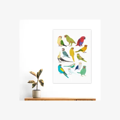 Dunelm East End Prints Parrots Print