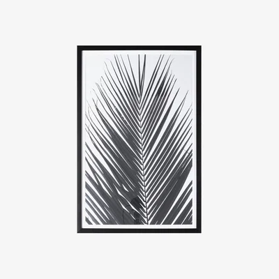 Dunelm Greyscale Palm Framed Art 61 x 91cm Black and white