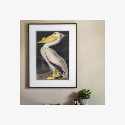 Dunelm Cedar & Sage Pellicano Framed Print