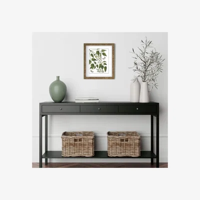 Dunelm Cedar & Sage Natural Radiance Botanical Framed Print Gold