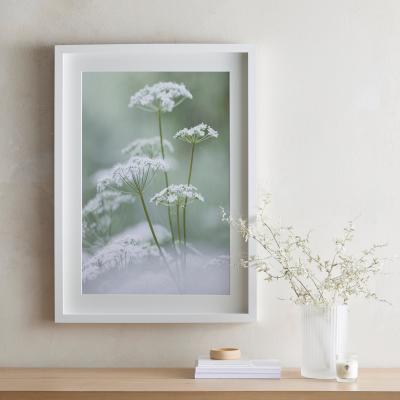Dunelm Dorma Purity Calming Cow Parsley Mounted and Box Framed Exclusive Nature Print MultiColoured