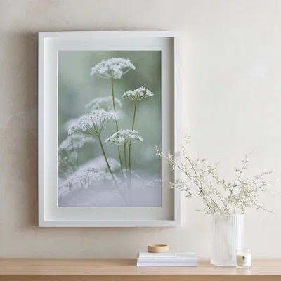 Dunelm Dorma Purity Calming Cow Parsley Mounted and Box Framed Exclusive Nature Print MultiColoured