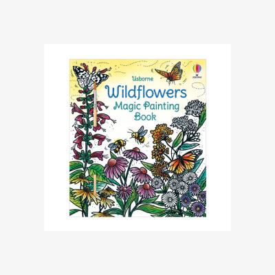 Dunelm Wild Flowers Magic Painting Book