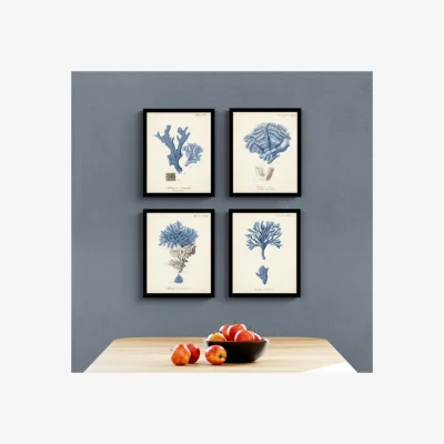 Dunelm Set of 4 Antique Coral Framed Prints Blue