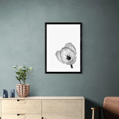 Dunelm East End Prints Delicate Poppy Print Black