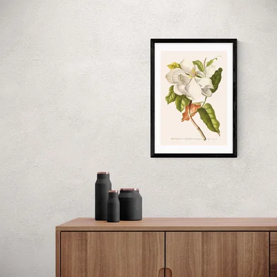 Dunelm East End Prints Magnolia Print MultiColoured