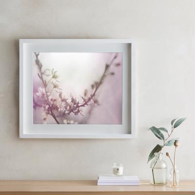 Dunelm Dorma Purity Dreamy Blossom Mounted and Box Framed Exclusive Nature Print Pink