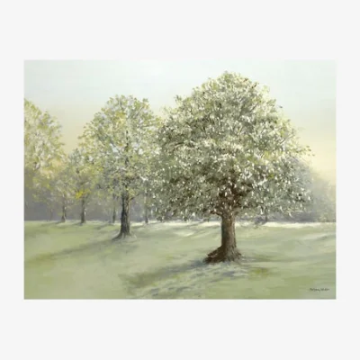 Dunelm Stroll Between Trees by Anthony Waller Framed Print Natural