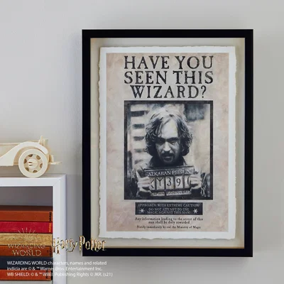 Dunelm Harry Potter Wanted Wall Art MultiColoured