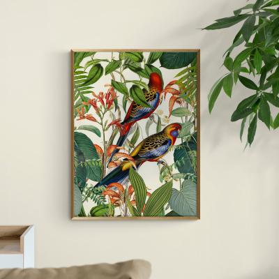 Dunelm Exotic Jungle Birds by andrea Haase Framed Print MultiColoured
