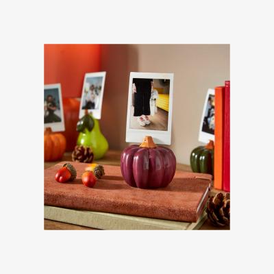 Dunelm Pumpkin Ceramic Photo Holder