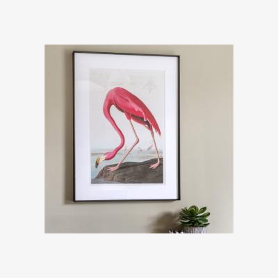 Dunelm Cedar & Sage Wading Flamingo Framed Print