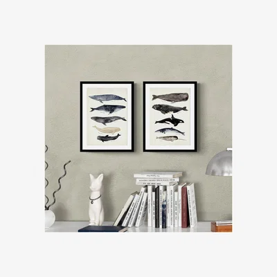Dunelm Set of 2 Whale Illustrations Framed Prints