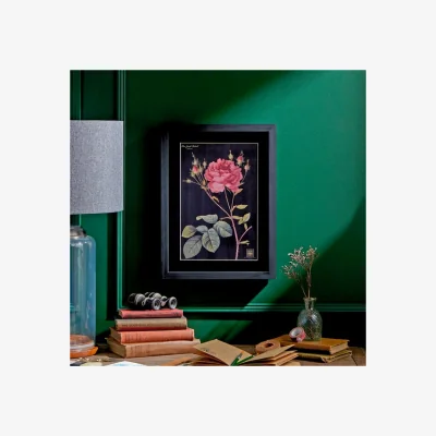 Dunelm Rose Framed Print Black