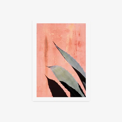 Dunelm East End Prints Peach Cactus Print Pink/Black