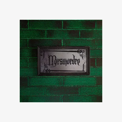 Dunelm Harry Potter Morsmordre Mirrored Wall Plaque
