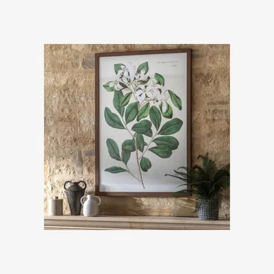 Dunelm Cedar & Sage Foliage & Blooms Framed Print