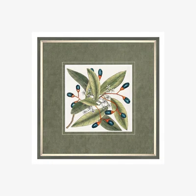 Dunelm Botanical Style Framed Print