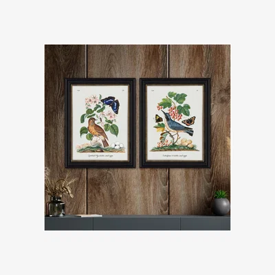 Dunelm Set of 2 Vintage French Birds Framed Prints