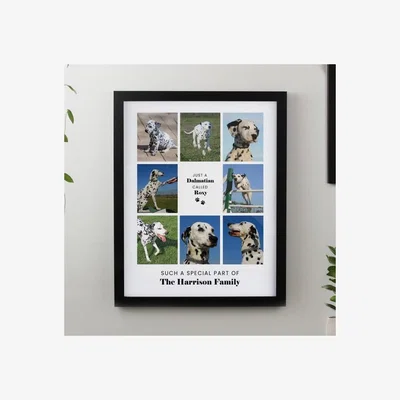 Dunelm Personalised Pet Multi Photo Framed Print