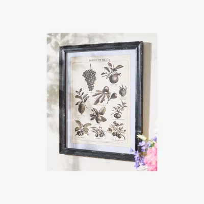 Dibor Black and White Framed Print
