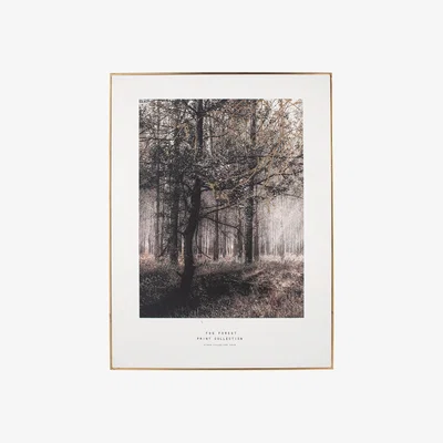 Furniture Village Mono Forest Trail Print Gold