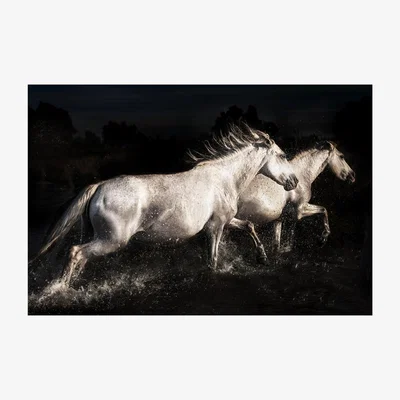 Furniture Village Elegant Horses Metallic Glass Art