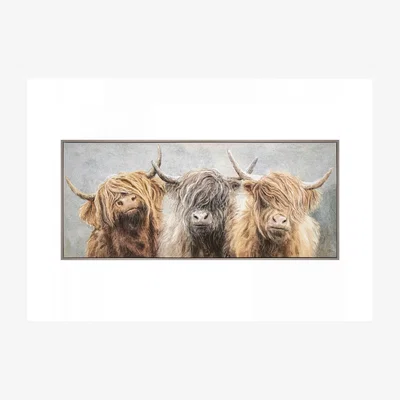 Furniture Village Three of a Kind Framed Canvas