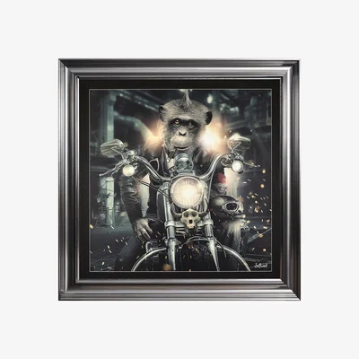 Furniture Village Motorbike Monkey Framed Art