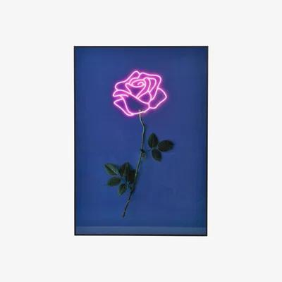 Furniture Village Neon Rose Glass Wall Art