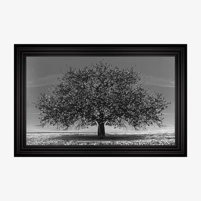 Furniture Village Cherry Tree Black Framed Art
