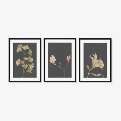 Furniture123 Vintage Botanical Leaves Set of 3 Wood Framed Prints - Abstract House