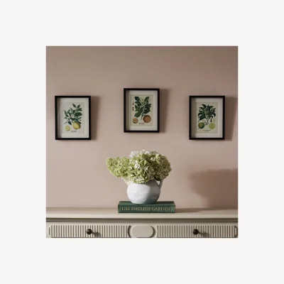 French Bedroom Tuscan Citrus & Botanical Wall Art Trio
