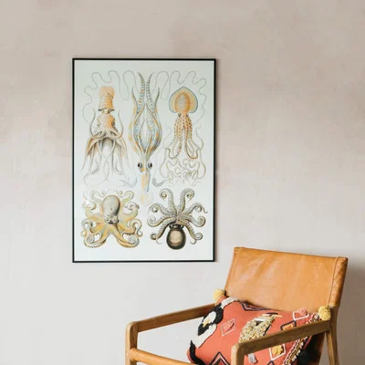 Graham & Green Medium Framed Octopus Print