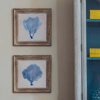 Graham & Green Set of Two Blue Coral Framed Pictures