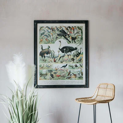 Graham & Green Vintage Animals Print