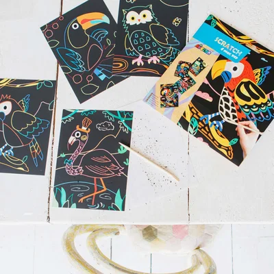 Graham & Green Bird Scratch Art