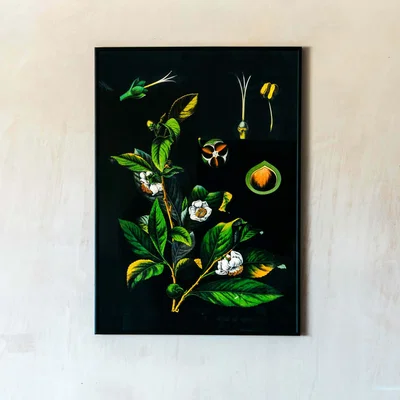 Graham & Green Medium Framed Tea Print