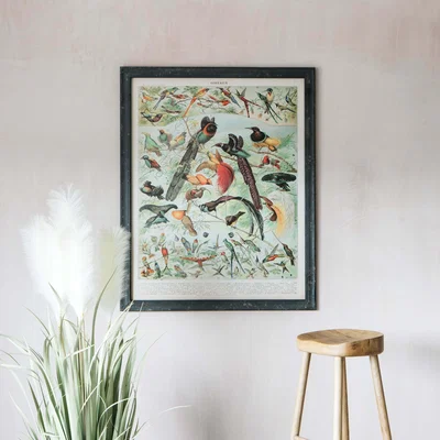 Graham & Green Vintage Birds Print