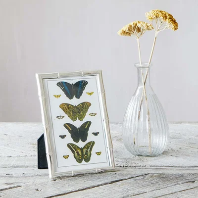 Graham & Green Small Silver Bamboo Frame