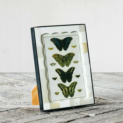 Graham & Green Scalloped Bone and Horn Frame
