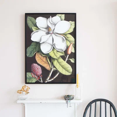 Graham & Green Medium Framed Blooming Magnolia Print