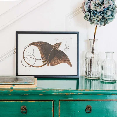 Graham & Green Small Framed Eagle Ray Print